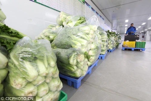 貴州遵義 構建農產品產供銷一條龍體系，以食用農產品初加工保障食品安全